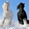 Winter Horses Diamond Painting