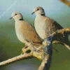 Turtle Doves Diamond Painting
