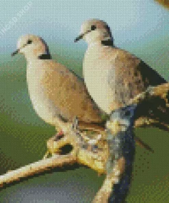 Turtle Doves Diamond Painting