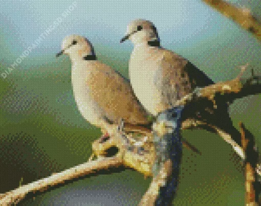 Turtle Doves Diamond Painting