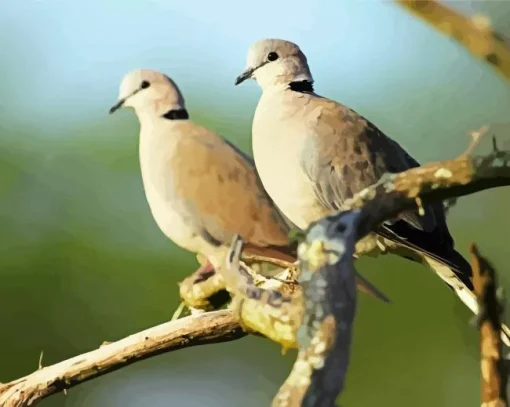 Turtle Doves Diamond Painting