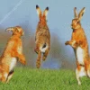 Jumping Hares Diamond Painting