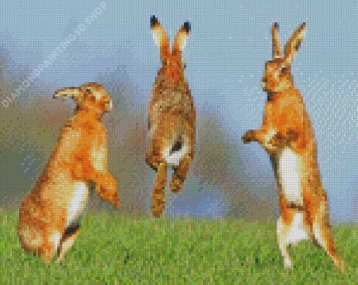 Jumping Hares Diamond Painting