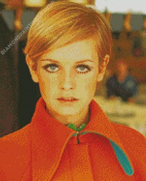 Model Twiggy Diamond Painting