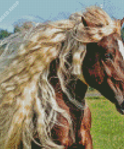 Brown Horse Diamond Painting