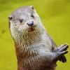 Small Clawed Otter Diamond Painting