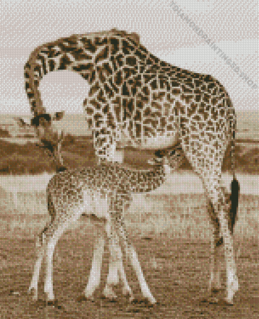 Baby Giraffe Diamond Painting