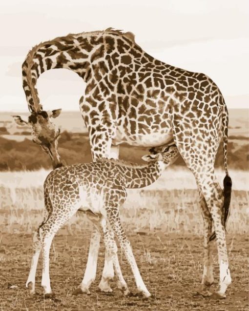 Baby Giraffe Diamond Painting