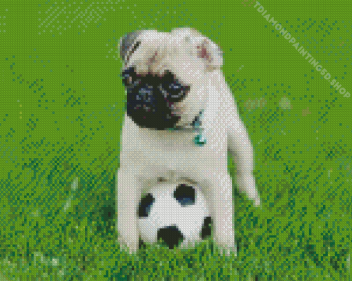 Baby Pug Diamond Painting