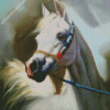Blond Arabian Horse Diamond Painting