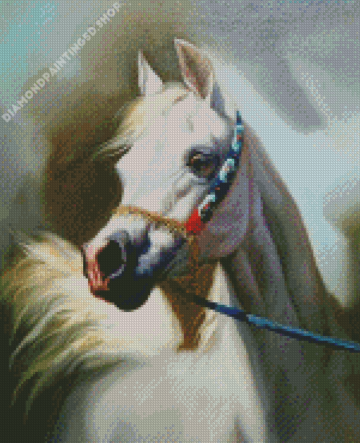 Blond Arabian Horse Diamond Painting