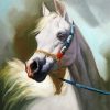 Blond Arabian Horse Diamond Painting