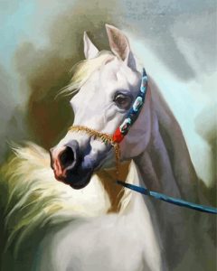 Blond Arabian Horse Diamond Painting