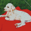 Blond Dalmatian Diamond Painting