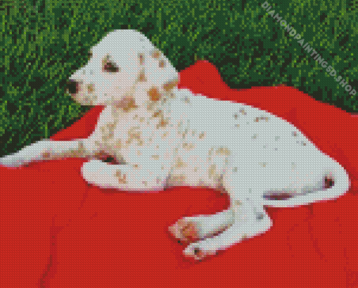 Blond Dalmatian Diamond Painting