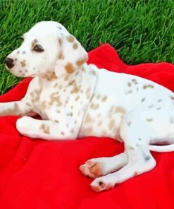 Blond Dalmatian Diamond Painting