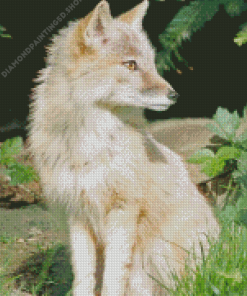 Blond Fox Diamond Painting