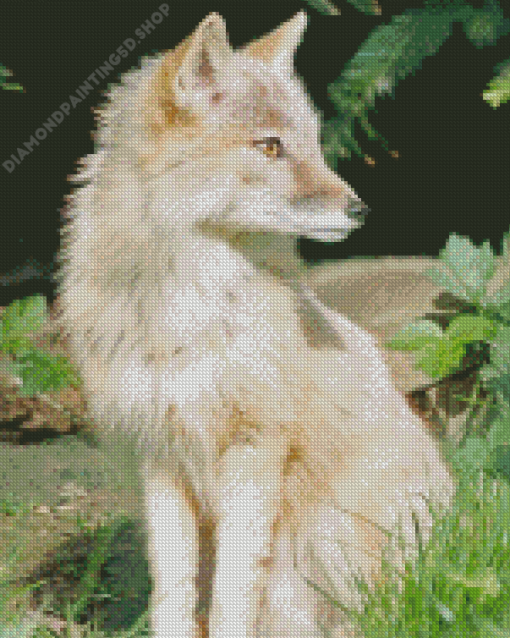 Blond Fox Diamond Painting