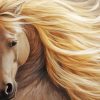 Blond Hair Horse Diamond Painting