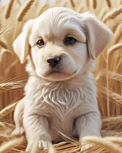 Labrador Puppy Diamond Painting