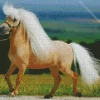 Blonde Pony Diamond Painting