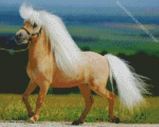 Blonde Pony Diamond Painting