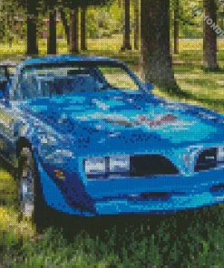 1978 Trans Am Diamond Painting