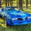 1978 Trans Am Diamond Painting