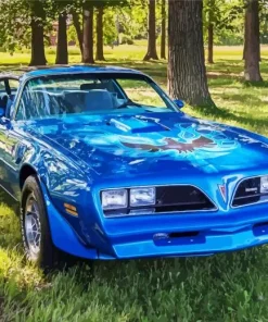 1978 Trans Am Diamond Painting