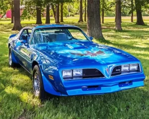 1978 Trans Am Diamond Painting