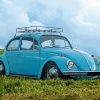 Blue Beetle Diamond Painting