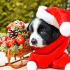 Cute Christmas Puppy Diamond Painting