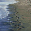 Footprints In Sand Diamond Painting