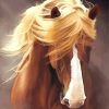 Horse With Hair Diamond Painting