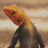 Orange Agama Diamond Painting