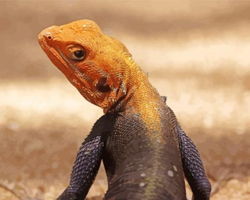 Orange Agama Diamond Painting