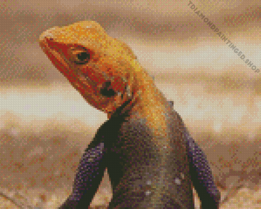 Orange Agama Diamond Painting