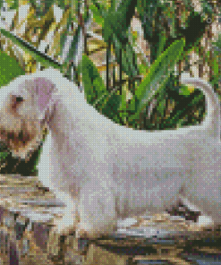 Sealyham Diamond Painting