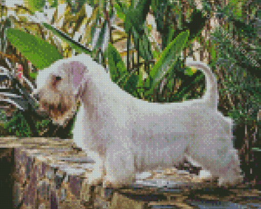 Sealyham Diamond Painting
