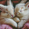 Sleepy Bunnies Diamond Painting