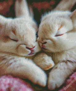 Sleepy Bunnies Diamond Painting
