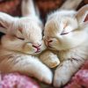 Sleepy Bunnies Diamond Painting