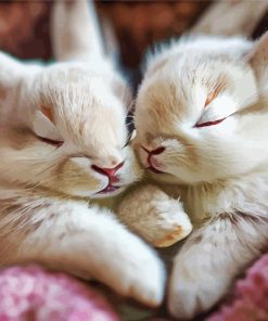 Sleepy Bunnies Diamond Painting