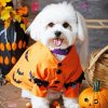 White Affenpinscher Diamond Painting