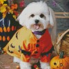 White Affenpinscher Diamond Painting