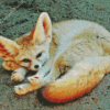 Wild Blond Fox Diamond Painting