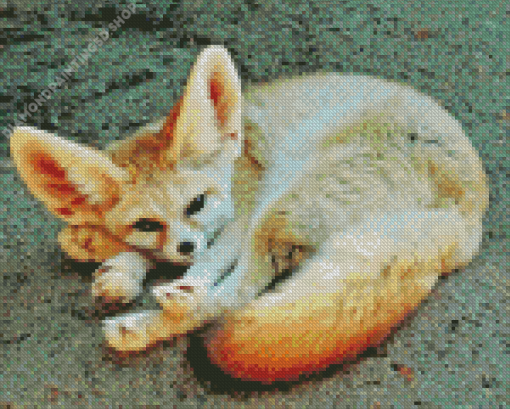 Wild Blond Fox Diamond Painting