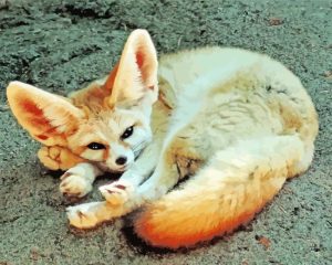 Wild Blond Fox Diamond Painting