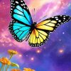 Galaxy Butterflies Diamond Painting