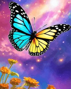 Galaxy Butterflies Diamond Painting